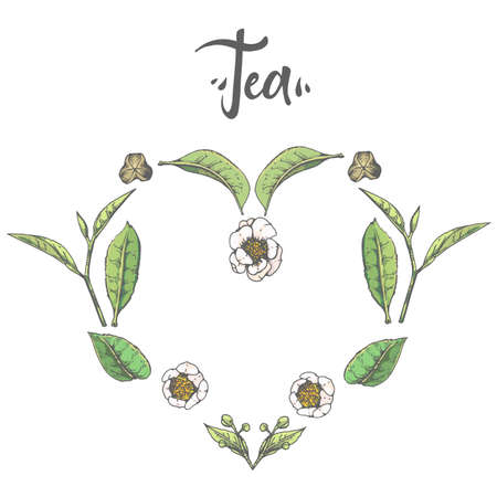 Hand-drawn sketch heart with tea leaves and flowers, vector illustration.のイラスト素材