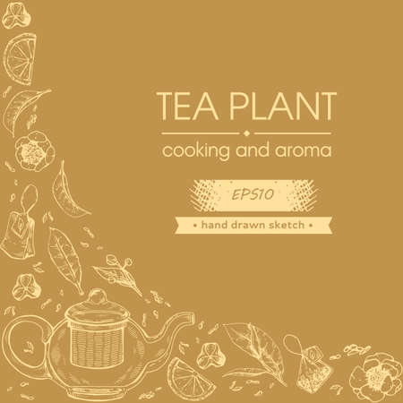 Detailed hand-drawn sketch tea plant and cooking tools, vector illustration.のイラスト素材