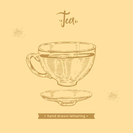 Hand-drawn lettering tea cup with the saucer, vector illustration.のイラスト素材