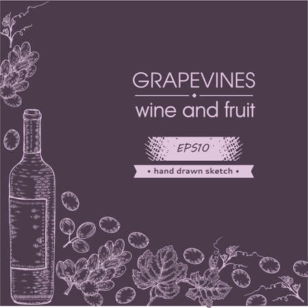 Collection of wine bottle and bunches of grapes. Detailed hand-drawn sketch, vector illustration.のイラスト素材