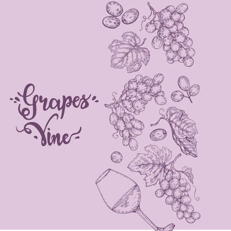 Background filled with bunches of grapes and with lettering grapes, vine. Detailed hand-drawn sketch, vector illustration.のイラスト素材
