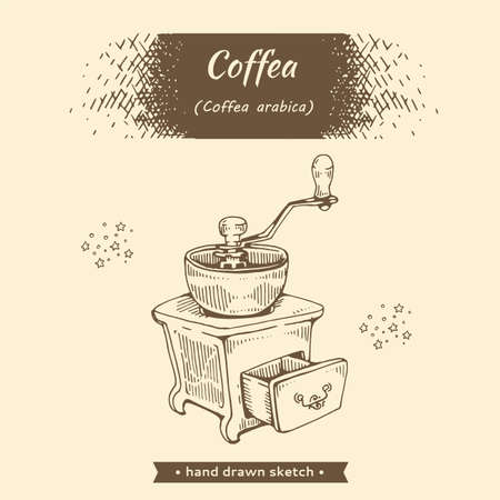 Coffee mill and other tools. Caffea arabica. Hand drawn sketch. Vector illustration.のイラスト素材