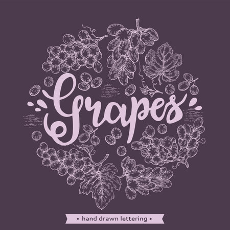 Circle filled with different bunches of grapes and lettering grapes.のイラスト素材