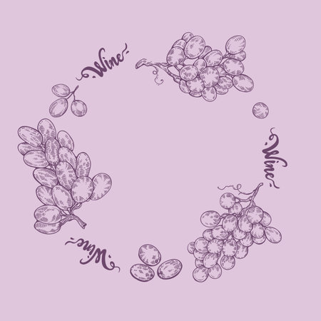 Frame with different bunches of grapes and lettering wine.のイラスト素材