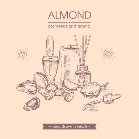 Collection of almond with cosmetics and essential oils. Hand-drawn, vector illustrationのイラスト素材