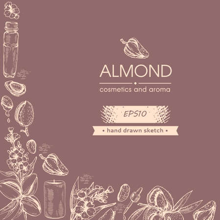 Background with almond nuts, flowers, essential oils and cosmetics. Detailed hand-drawn sketch, vector botanical and object illustration.のイラスト素材