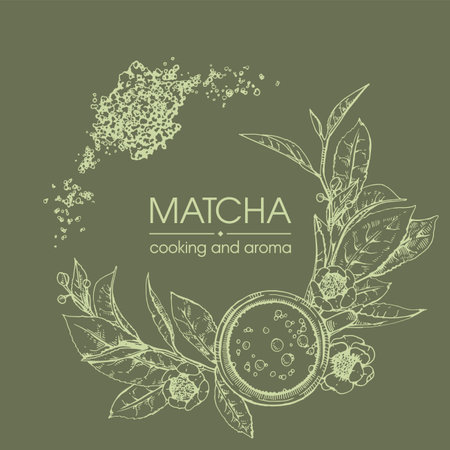Hand-drown sketch matcha cooking and aroma, vector illustration.のイラスト素材
