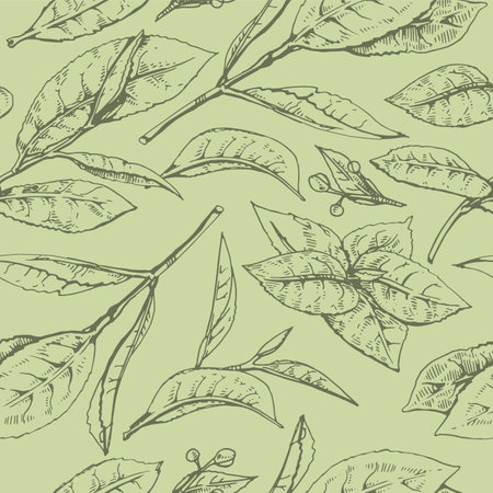 Hand-drawn seamless pattern matcha leaves on the green background, vector illustration.のイラスト素材