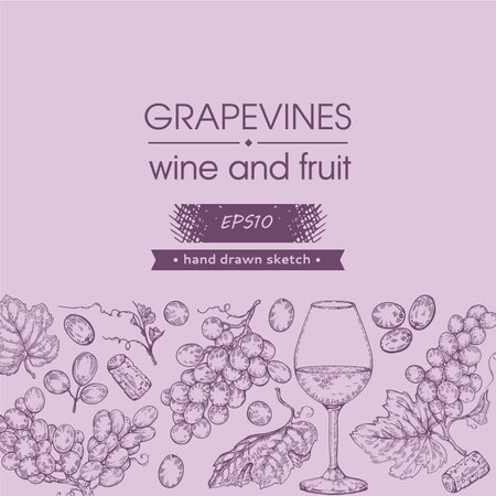 Collection of wine glass and bunches of grapes. Detailed hand-drawn sketch, vector illustration.のイラスト素材