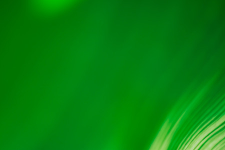 Abstract floral blurred background. Tropical palm leave macro photography. Beautiful backdrop for...