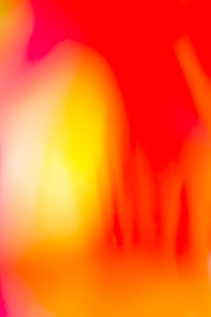 Abstract floral blurred background. Tropical palm leave macro photography. Beautiful backdrop for...