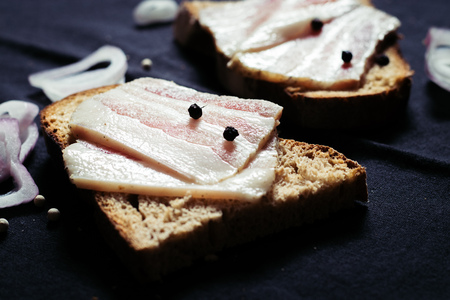 Lard with black bread and onions on a wooden board on a tableclothの写真素材