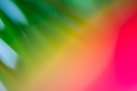 Abstract floral blurred background. Tropical palm leave backdrop