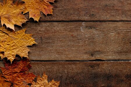 Wallpaper for September 1. Autumn leaves on wooden background with copy space.