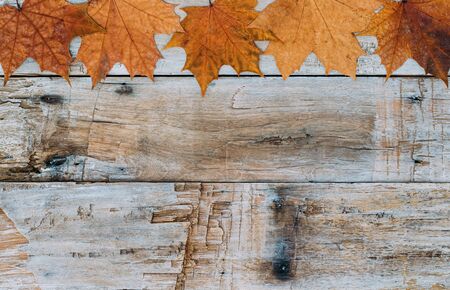 Thanksgiving background. Autumn leaves on wooden background with copy space.