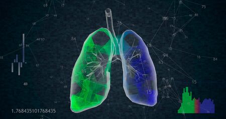 Rotating 360 low polygonal lungs 3D model on black background with animated increasing numbers and diagrams.  3D illustrationの写真素材
