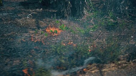 Burning crop on countryside . ecosystems crisis. Toxic haze from dry grassland fire.の写真素材