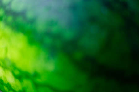 Abstract fruit blurred background. Watermelon macro photography. Beautiful backdrop for for webdesignの写真素材