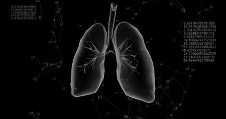 Rotating 360 low polygonal lungs 3D model on black background with animated increasing numbers and...