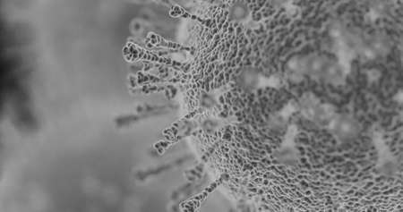 Black and white 3d simulation of corona virus. Artistic rendering of electron microscope visualization.の写真素材