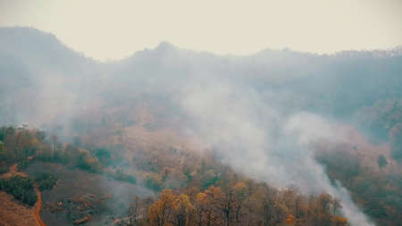 Smog of bushfire fires. Deforestation and Climate crisis. Toxic haze from rainforest fires.の写真素材