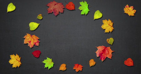 Animated frame made of rotating dry autumn leaves, copy space, happy thanksgiving day background concept, discount and sale for this holidayの写真素材