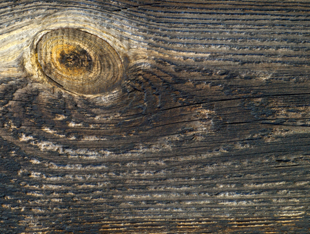 Old wooden board viewed from up close.の写真素材
