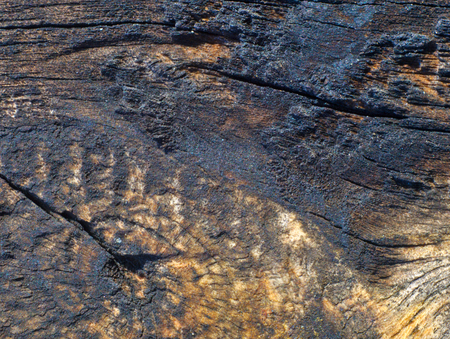 Old wooden board viewed from up close.の写真素材