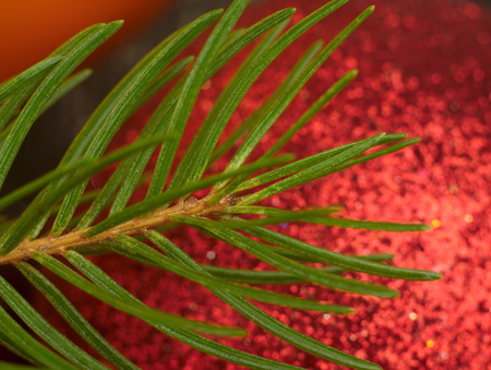 A red bauble Christmas Tree with golden star and green pine twig seen up close.の写真素材