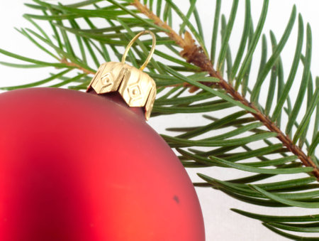 Red Christmas Tree bauble and twig of pine on a white background.の写真素材