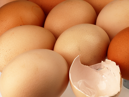 A piece of eggshell against fresh eggs.の写真素材