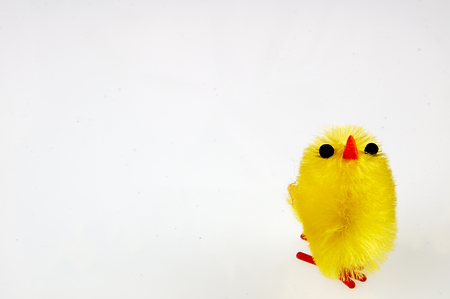 Group Yellow easter chicken toys. Decoration on the occasion of Easter.