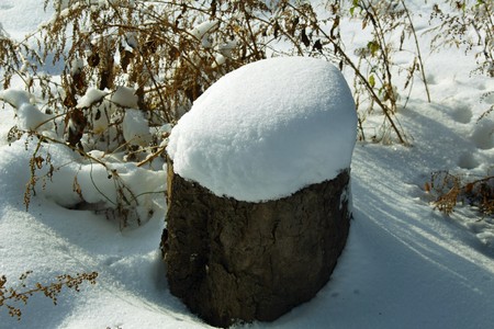 snow hat on a felled treeの写真素材