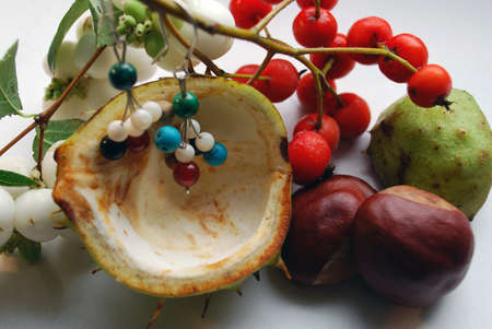 Jewelry inspired by nature. Dangling earrings and common rowan. Cute earrings made from breads hanging on rowanberry branch. Thanksgiving ideas and inspirations.の写真素材