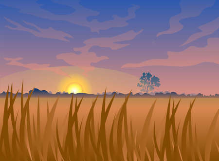 Beautiful realistic vector landscape. Morning sunrise at countryside. Field and single tree. Grass or grain in the foreground. Warm golden glow. Pink clouds. Perfect background for animation or a gameのイラスト素材