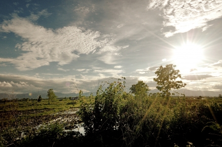 natureの写真素材