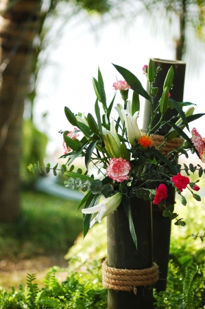 natureの写真素材