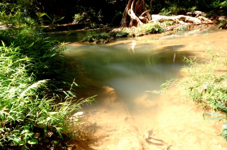 natureの写真素材