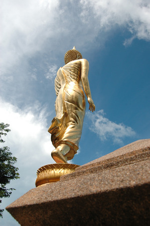 templeのeditorial素材