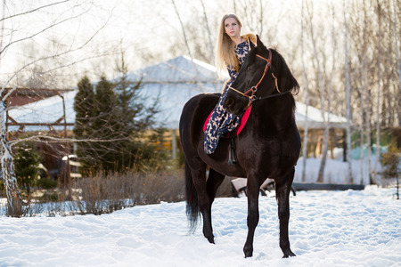 Young young girl goes on a brown horseの写真素材
