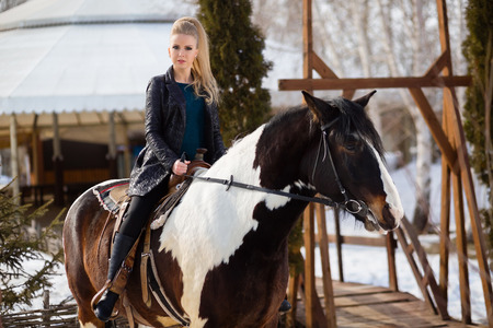 Young young girl goes on a brown horseの写真素材