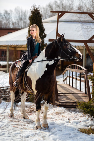 Young young girl goes on a brown horseの写真素材