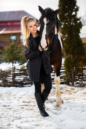 Young young girl goes on a brown horseの写真素材