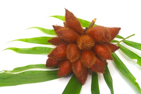 Salaccaの写真素材