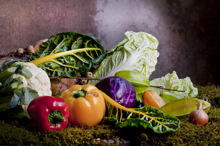 Variety of vegetablesの写真素材