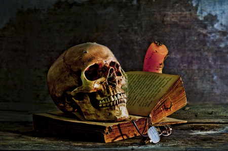 Still Life with a Skullの写真素材