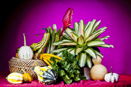Still life with vegetables and pumpkinの写真素材