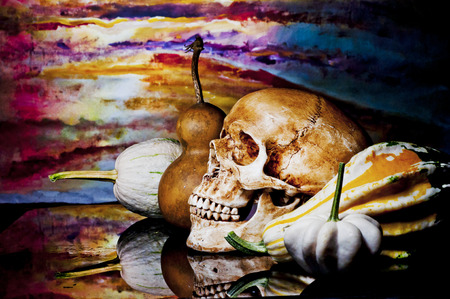 Still Life with a Skullの写真素材