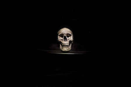 Skull on a black background.の写真素材