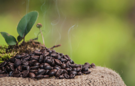 coffee beansの写真素材
